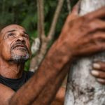 projeto-transforma-areas-de-queimada-em-producao-sustentavel-no-marajo