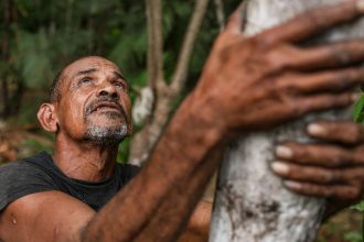 projeto-transforma-areas-de-queimada-em-producao-sustentavel-no-marajo