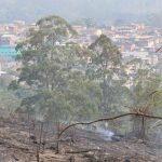 estiagem-longa-pode-atrasar-chegada-do-periodo-chuvoso-em-sao-paulo