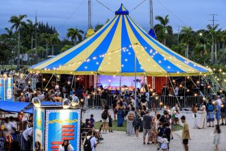 maratona-circense-no-museu-do-pontal-valoriza-arte-popular-no-rio