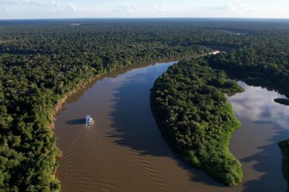 extrativismo-sustentavel-na-amazonia-e-tema-do-caminhos-da-reportagem