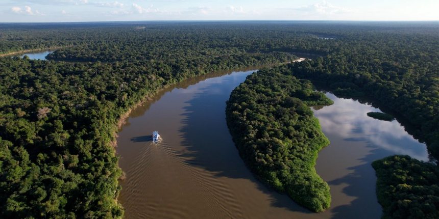 extrativismo-sustentavel-na-amazonia-e-tema-do-caminhos-da-reportagem