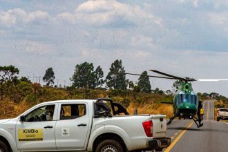 chuva-ajudou-no-combate-a-incendios-na-chapada-dos-veadeiros