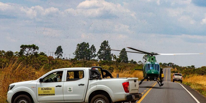 chuva-ajudou-no-combate-a-incendios-na-chapada-dos-veadeiros
