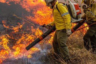 pre-cop:-brasil-propoe-resposta-global-a-incendios-florestais