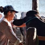 mulheres-rurais-enfrentam-informalidade-e-desigualdade-no-campo