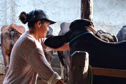 mulheres-rurais-enfrentam-informalidade-e-desigualdade-no-campo