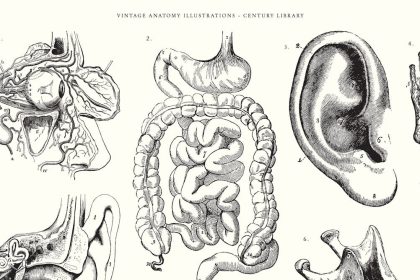 a-sinistra-historia-das-ilustracoes-medicas-e-a-questao-do-consentimento