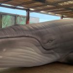 jardim-botanico-do-rio-expoe-replica-de-jubarte-por-conscientizacao