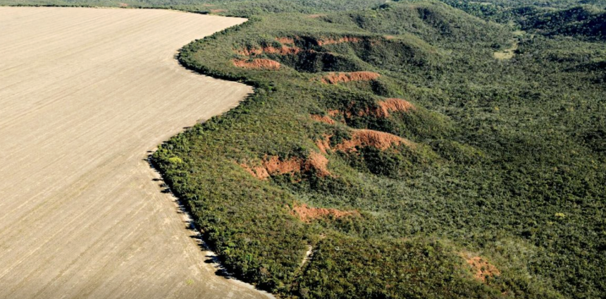 entre-“celeiro-do-mundo”-e-“guardiao-da-amazonia”,-brasil-segue-sem-solucionar-seu-dilema-ambiental
