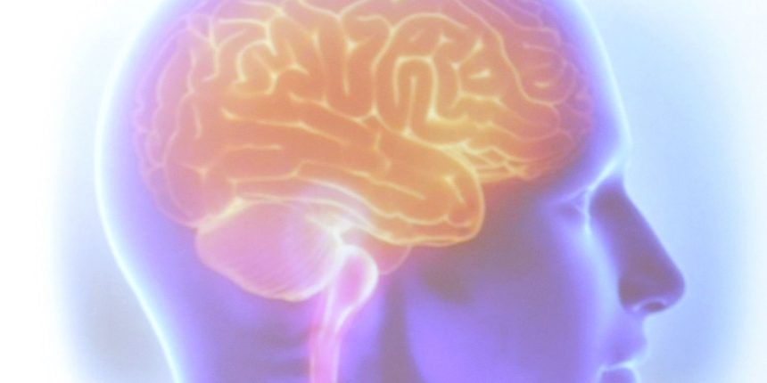 avc-mata-uma-pessoa-a-cada-seis-minutos-no-brasil