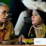analise:-a-agenda-de-sustentabilidade-brasileira-evolui,-mas-segue-tardia-e-fragmentada