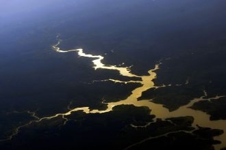 captura-de-carbono-na-amazonia-esta-em-risco,-diz-estudo