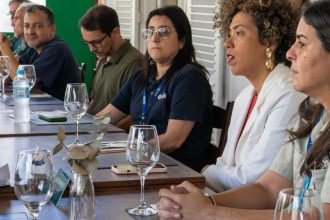 comissao-da-camara-pede-que-ibama-fiscalize-crimes-ambientais-da-csn