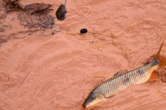 samarco-e-vale-sao-multadas-em-mais-de-r$-1,8-bilhao