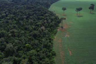 caravana-social-vai-a-cop30-denunciar-megaprojetos-do-agronegocio
