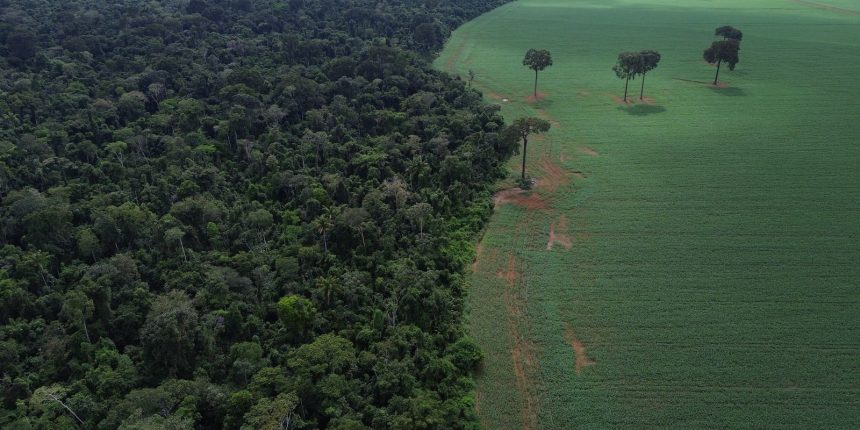 caravana-social-vai-a-cop30-denunciar-megaprojetos-do-agronegocio