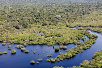 boleto-gigante-na-paulista-cobra-paises-ricos-sobre-divida-com-o-clima