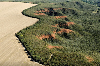 entre-“celeiro-do-mundo”-e-“guardiao-da-amazonia”,-brasil-segue-sem-solucionar-seu-dilema-ambiental