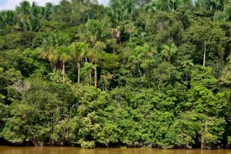 analise:-a-agenda-de-sustentabilidade-brasileira-evolui,-mas-segue-tardia-e-fragmentada