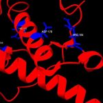 doencas-prionicas:-raras,-mas-devastadoras