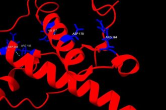 doencas-prionicas:-raras,-mas-devastadoras