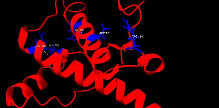 doencas-prionicas:-raras,-mas-devastadoras