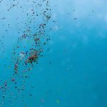 cientistas-revelam-como-a-poluicao-por-plasticos-circula-nos-oceanos-a-medida-que-se-degrada