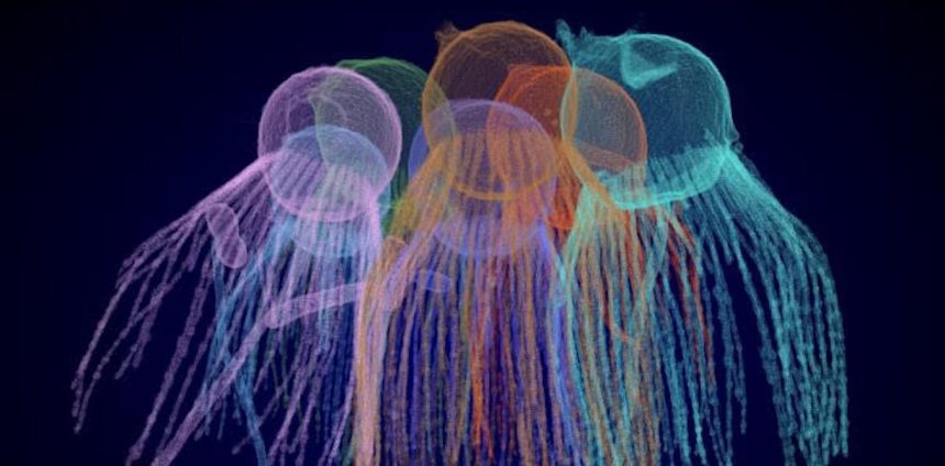 um-organismo-microscopico-revela-pistas-de-como-os-animais-evoluiram