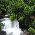 fronteira-cerrado:-ativistas-pedem-mesma-prioridade-dada-a-amazonia