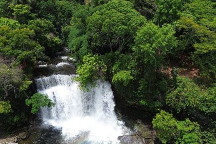 fronteira-cerrado:-ativistas-pedem-mesma-prioridade-dada-a-amazonia