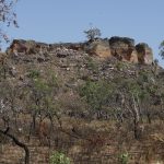 agencia-brasil-lanca-primeira-reportagem-da-selecao-nadia-franco