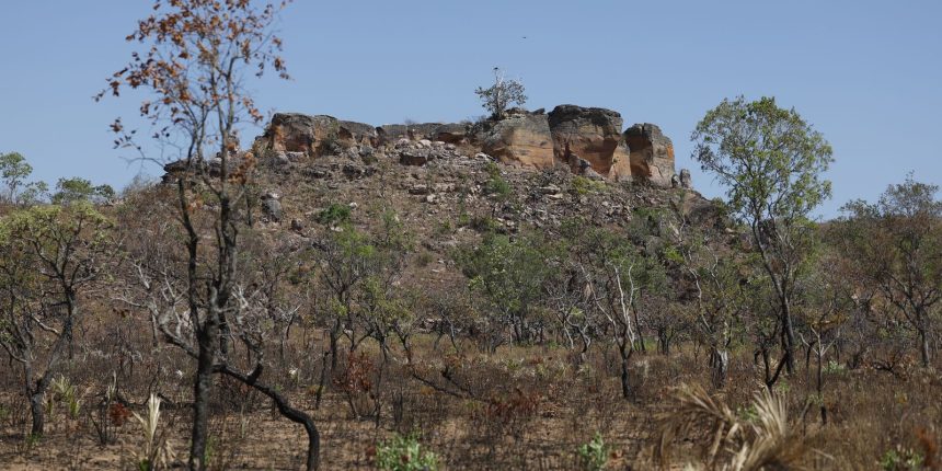 agencia-brasil-lanca-primeira-reportagem-da-selecao-nadia-franco