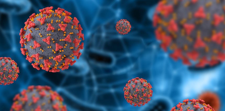 a-ciencia-resistiu:-o-papel-das-universidades-publicas-brasileiras-na-pandemia