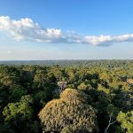 cop30:-o-que-e,-quando-acontece-e-o-que-sera-discutido-em-belem