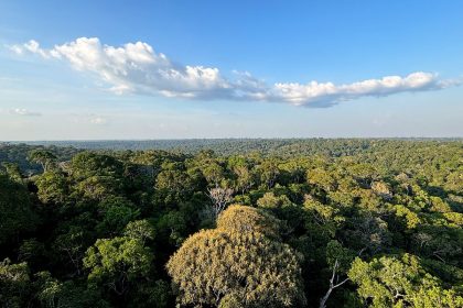 cop30:-o-que-e,-quando-acontece-e-o-que-sera-discutido-em-belem