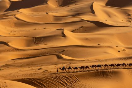 pesquisa-preve-mudancas-no-clima-do-deserto-do-saara-nos-proximos-anos