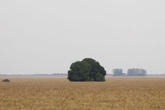 fronteira-cerrado:-o-agronegocio-entre-desenvolvimento-e-destruicao