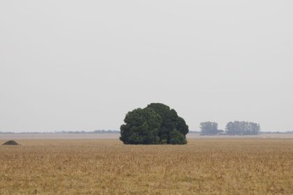 fronteira-cerrado:-o-agronegocio-entre-desenvolvimento-e-destruicao