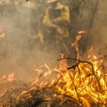 pantanal-e-o-bioma-mais-atingido-pelo-aumento-da-temperatura-no-pais