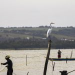 gestao-do-seguro-defeso-passa-oficialmente-ao-ministerio-do-trabalho