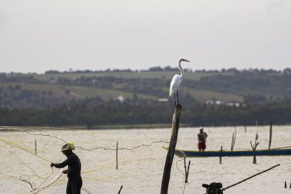 gestao-do-seguro-defeso-passa-oficialmente-ao-ministerio-do-trabalho