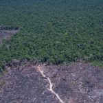 brasil-pode-antecipar-para-2040-a-neutralidade-de-emissoes-de-co2