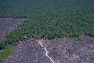 brasil-pode-antecipar-para-2040-a-neutralidade-de-emissoes-de-co2