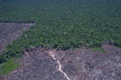 brasil-pode-antecipar-para-2040-a-neutralidade-de-emissoes-de-co2