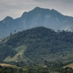 sos-mata-atlantica-mobiliza-setor-privado-para-conservacao-do-bioma