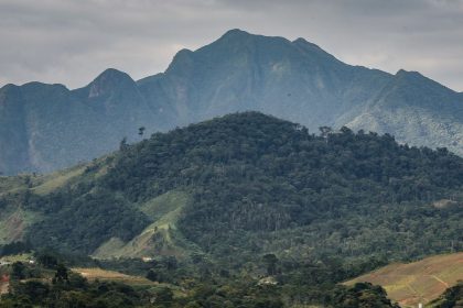 sos-mata-atlantica-mobiliza-setor-privado-para-conservacao-do-bioma
