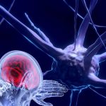 unesco-faz recomendacao-inedita-para-uso-etico-da-neurotecnologia