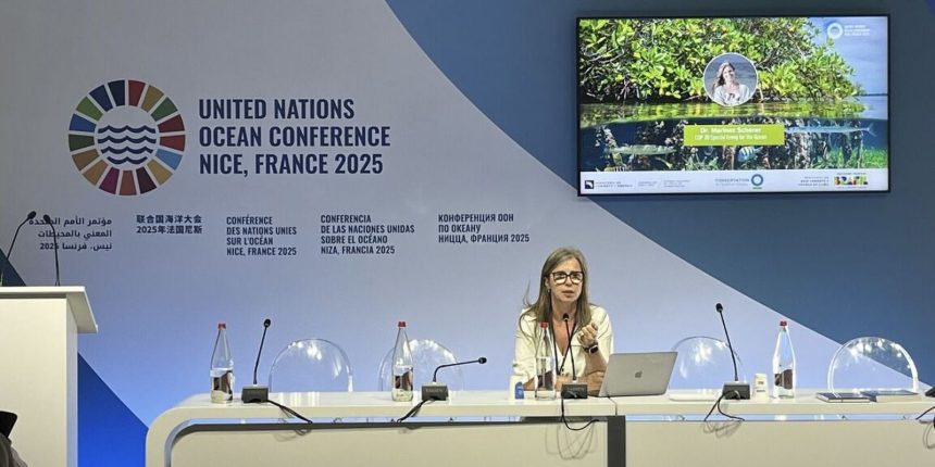 especialista-da-cop30-cobra-mais-financiamento-para-oceanos