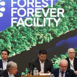 fundo-para-florestas-tropicais-atinge-aporte-de-us$-5,5-bilhoes